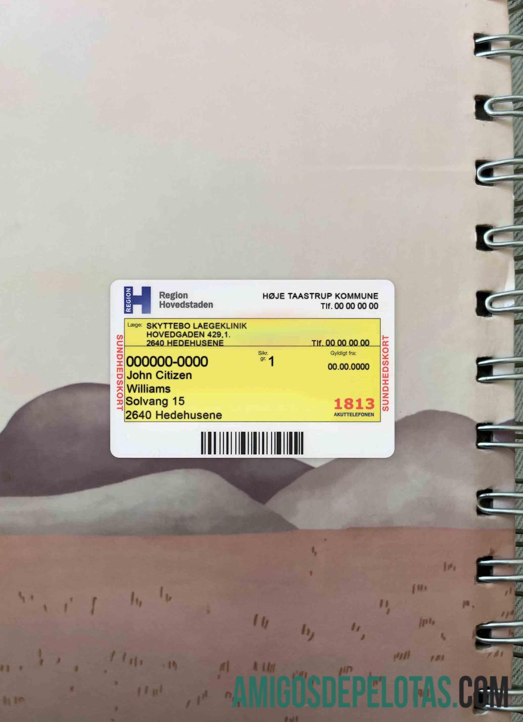 Denmark Health Insurance Card olhar de foto frente exemplo